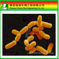 Hot sale Lactobacillus Rhamnosus 98% CAS.10030-85-0